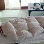 [백현] 180607 엑사세 백현 <b>gif</b> 1