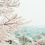 우리아빠 극보수인데 북한엄청좋아<b>하심</b>