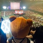 [EXO] 첸백시콘 <b>빈틈</b>이 없구나