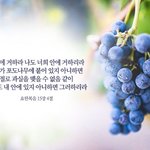 [회개] #우리가 모르는 하나님의 역사?
