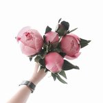 4년을 반복하다가 오늘 이제끝...