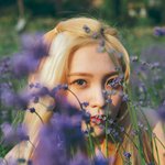 [레드벨벳] 근데<b>예리</b>