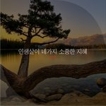 [좋은글귀] 인생살이 네가지 소중한 <b>지혜</b>