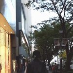 [이삐] <b>롯데</b>패밀리콘서트 가는 이삐?