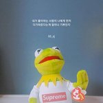 [댓글부탁해] 착가인지 한번만 봐줘...(별건 아니지만)