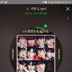 [강다니엘] 엠/카 캥거루 <b>mr</b> 제거(ㅌㅁㅈㅇ)