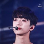 [라이관린] 99공지에 꼭 넣어야할것은?