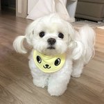 책좋아하는 책<b>수니</b>들아 책추천좀