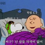 [조언부탁] 판녀들은 꿈이 <b>모야</b>? 어떻게 찾았어?
