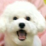 [드루와] 얘들아 솔직히 문과 그렇게 답없음?