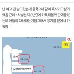 [드루와] 주작<b>박제</b>@&amp;@