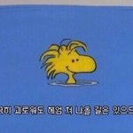 [드루와] 남자친구랑 나랑