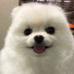 [댓글부탁해] 다들 데일리메컵 뭐뭐해??