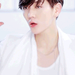 [최민기] 일본활동