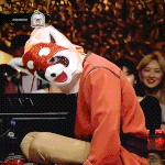 [모두드루와] ((복가))레서판다 겁나귀엽닼ㅋㅋㅋ