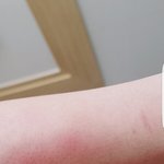 [댓글부탁해] <b>자해</b>티남????