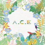 [드루와] !에이스 <b>Take</b> me higher 컴백!