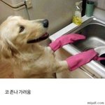 [<b>명랑</b>엽떡] 설거지할 때 특징