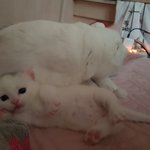 너도 그떄 나한테 반했지