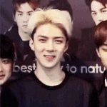 [EXO] 망시티 언제 <b>해체</b>함