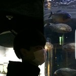 [댓글부탁해] 다 누린 새끼 배불러서 <b>복통</b> 호소하네