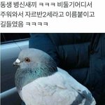 내 친구 왜 인기가 많지?