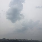 엄마이빠 싸우는데 아빠가 개 잘못함 도와줘 <b>화해</b>하게