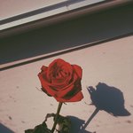 <b>아이피</b> 차단 먹은 거 뚫었다