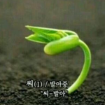 오늘 이<b>과반</b>쌤이 문과반 수업에서 한 말이다