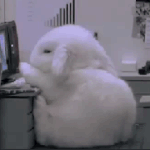 <b>독서대</b> 써본 사람 있어??