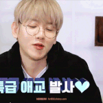 [백현] 배켜니 오늘 렬리티 <b>애교</b> 모음