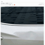 돼지손 223.62 <b>실체</b>ㅗ