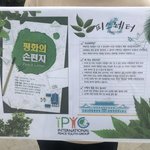 [꼭봐주세요] 북미정상회담 즈음하여 , 대통령께 쓴 평화의 손 편지~