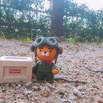 [댓글부탁해] <b>클레이</b> 라이언 야외촬영 모음 1탄!!