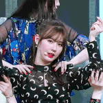 짹에서 아이돌한테 카톡하는애 봄;;