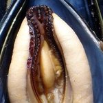 이동<b>수업</b><b>때</b> 내 자리 앉앗던애 냄새 씹오져ㅠㅠㅠ