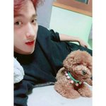댕댕이 넘 귀엽지 않냐ㅋㅋ