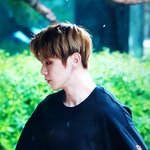 <b>바비</b>랑 강다니엘이랑 닮은 잘생긴 연예인 추천좀..!!!