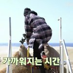 [백현] 백현이 <b>낙타</b> 탑승중ㅋㅋ