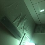 [꼭댓글부탁] 곰팡이때문에 미치겠어요 도와주세요...(사진있음)