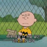[댓글부탁해] 나만 아직도 적응 안되냐,,제발 도와줘