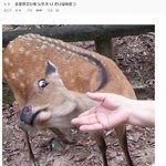 나만 남친이랑 만날때 뎉비용 내가 내냐ㅠ
