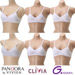 [드루와] 가슴 진짜 개작은 애 없음?