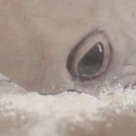 미국의 한 회사에 납치당했습니다. 도와주세요.