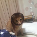 [댓글부탁해] <b>장용준</b>만나면 꼭 누나라고 해달라할거야