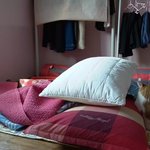 나의 동거묘 도칠이 '홈<b>캠</b>과 일주일'