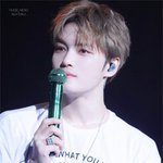 <b>세월</b> 비껴가는 남돌