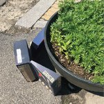 [꼭봐주세요] 잔인하게 <b>학대</b>한 범죄자를 찾습니다. 도와주세요.