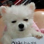 [19] <b>bl</b>만화 그릴건데 도와줄판녀ㅠㅠ