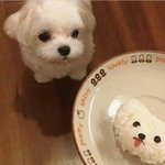 [댓글부탁해] 야 나 남친이 집착이 너무 <b>심해</b>..